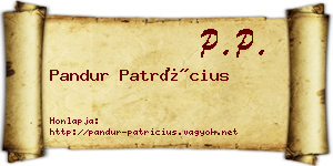 Pandur Patrícius névjegykártya